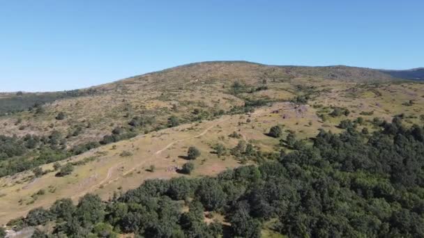 Vue aérienne par drone d'une grande forêt dense et verte à la campagne dans les collines avec une végétation verdoyante et des montagnes à Madrid, Espagne. Ciel bleu, pendant la journée. Des arbres. Tournage lent cinématographique