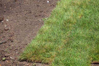 Çimenlik için çim yığını