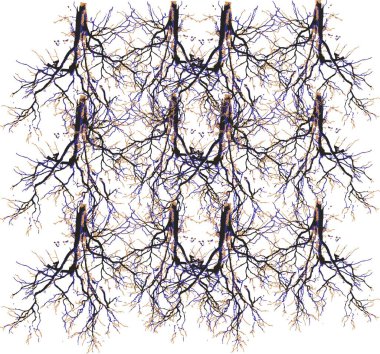 Arka planda ağaç dalları. Dalların dokusu.