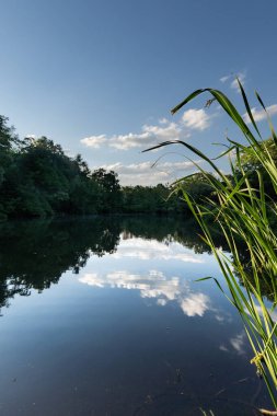 Doğadaki güzel yaz manzarası