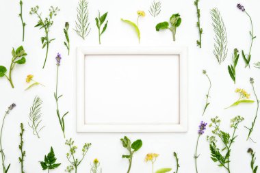 Bir çerçeve, düz yatıyordu kompozisyon, bir metin için yer ile dekoratif arka plan bitki botanik
