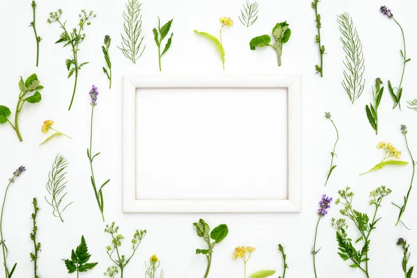 Bir çerçeve, düz yatıyordu kompozisyon, bir metin için yer ile dekoratif arka plan bitki botanik