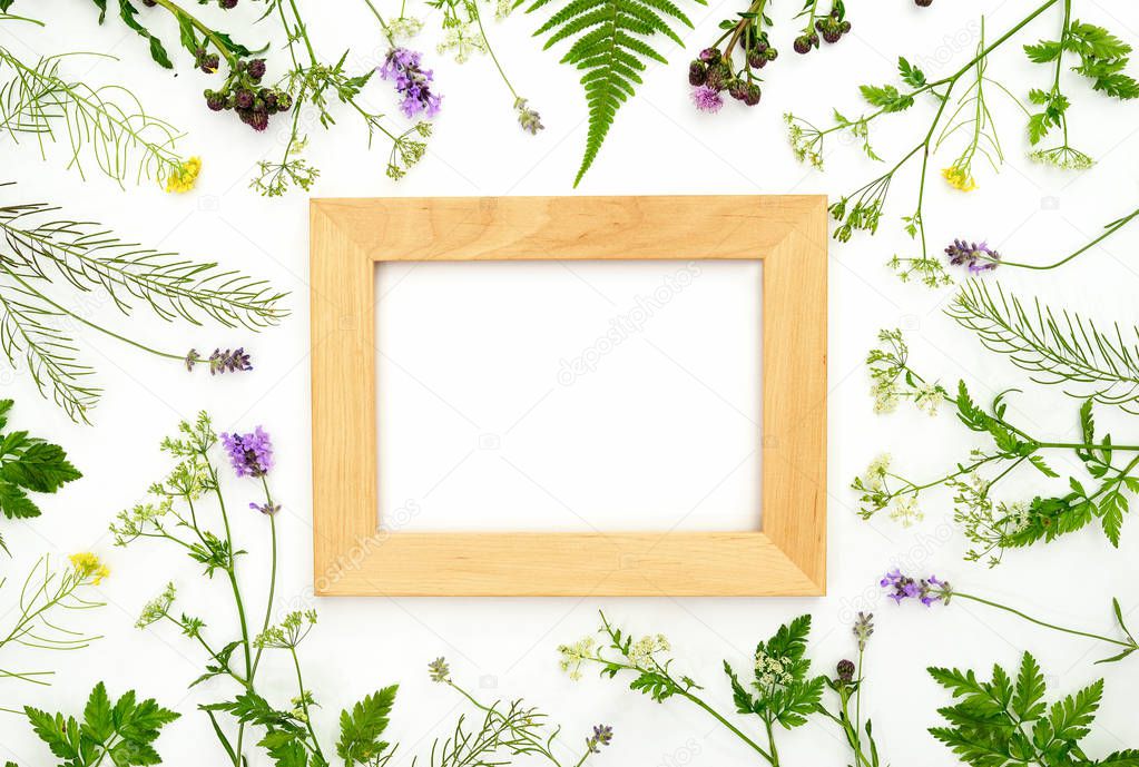 Herbal botany decorative rustic background with a frame, flat lay composition, space for a text