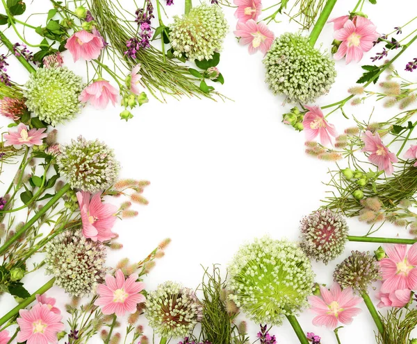 Wild Flowers Arranged Flat Lay Composition Blank Space Text View — Stock Photo, Image