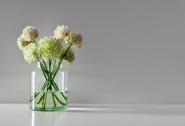 Minimalist çiçek buketi basit cam vazo, önden görünüm, bir metin için yer