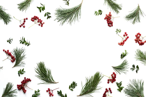 Winter Holidays Botanical Background Blank Space Christmas Greeting Text View — Stock Photo, Image