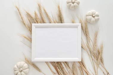 Sonbahar arka plan ile bir tebrik metin çerçevesindeki, düz yatıyordu kompozisyon için bir yer