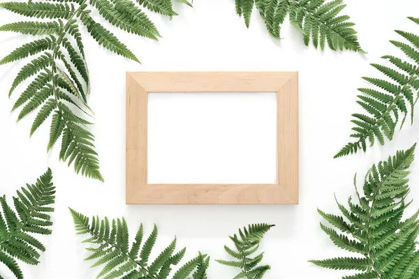 Fern Leaves Background Space Text Wooden Frame Flat Lay — Stock Photo, Image