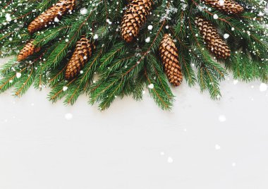 Köknar dalı ve örtülü bir kar, bir metin için boş alan ile ışık ahşap arka plan üzerinde yalan koniler Noel flatlay kompozisyonu