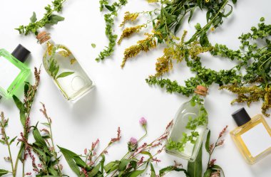 Spa şifa kozmetik ürünleri ilaç otlar, doğal kadınsı cilt bakım ürünleri, temel yatıyordu düz 