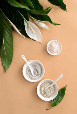Spa arka plan yukarıdan doğal kozmetik mineral kili ve deniz tuzu ile görüntüleme