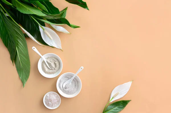 Spa Achtergrond Met Natuurlijke Cosmetische Minerale Kleien Zeezout Weergave Van — Stockfoto