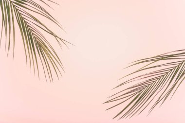 Düz yatıyordu tropikal yaz arka plan, bir metin için boş alan