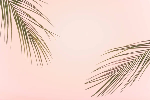 Flat Lay Tropical Summer Background Blank Space Text — Stock Photo, Image