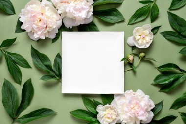 Kopya alanı ile şakayık arka plan 