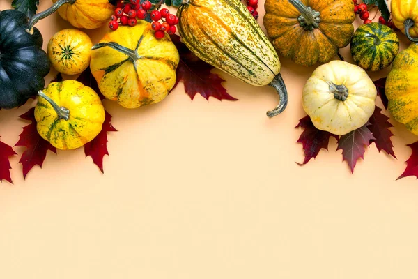 Fall or Thanksgiving card background — Stock Photo, Image