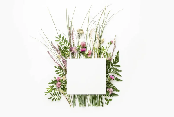 Přírodní byliny pozadí, letní lázeňský koncept nebo minimalistický pozdrav — Stock fotografie