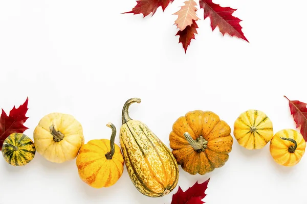 Fall Template Pumpkins Lying White Background Top View Copy Space — Stock Photo, Image