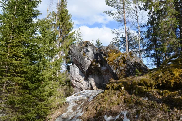 Marble Canyen Woods Northern Russia Sunny Day — Stock Photo, Image