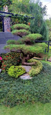 Parktaki bahçe yolu.