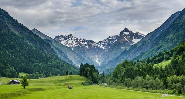 Bujna Zielona Dolina Otoczona Alpami Pobliżu Oberstdorf Niemcy — Zdjęcie stockowe