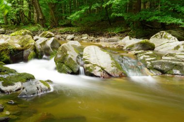 Taşların arasından akan hızlı bir nehir Akdeniz 'in muhteşem yeşil ormanlarında uzun süre ağaçlara maruz kalmış.