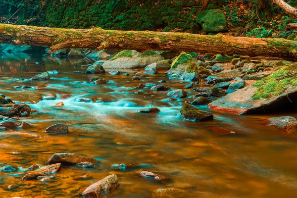 Природная Сцена Которой Вода Течет Реке — стоковое фото