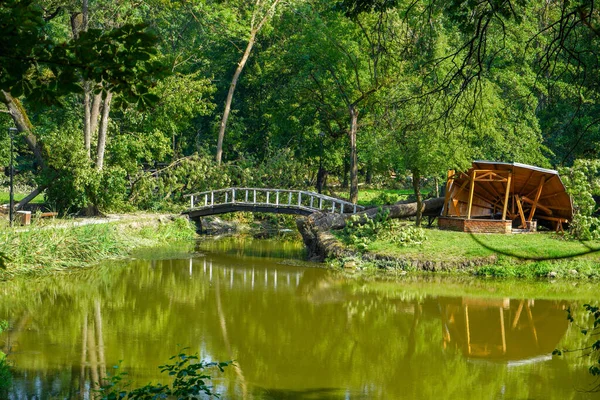 Skutki Burzy Nad Miastem Zniszczony Park Miejski Zniszczone Drzewa Zniszczenie — Zdjęcie stockowe