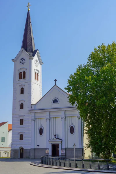 View Cathedral Cathedral Exaltation Holy Cross Sisak — Stock Photo, Image