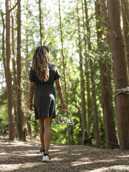 Rear view of woman walking with basket in forest