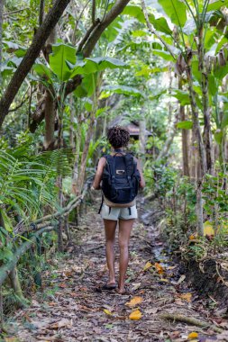 Endonezya, Bali, yağmur ormanlarında yürüyüş yapan kadın turistler