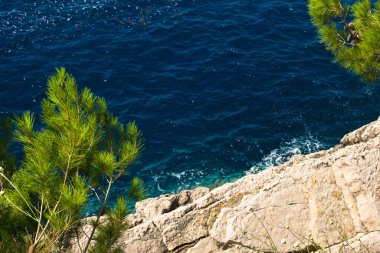 Mavi denizin ve çam dallarının üzerindeki kayalık uçurum