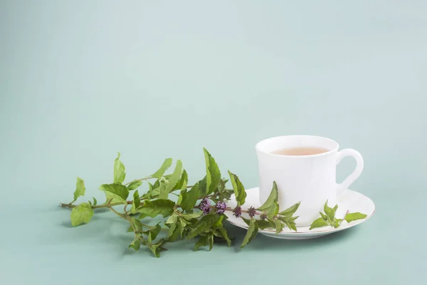 Una tazza di tè bianco con un rametto con cavalletti di menta sul tavolo su uno sfondo grigio-verde, tè del mattino — Foto Stock