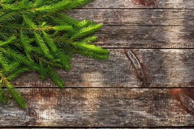 Tebrik kartı için Noel arkaplanı. Tahta arka planda fidan dalları.