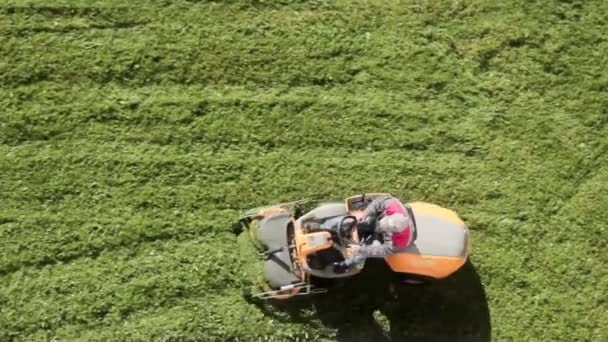 Oroszország Peterhof 14.09.2020.man munkaruhában nyírja le a gyepet egy kerti lovassal — Stock videók