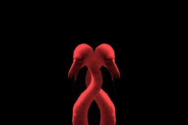 Siyah arka planda birbirine bağlı iki kırmızı flamingonun üç boyutlu çizimi.