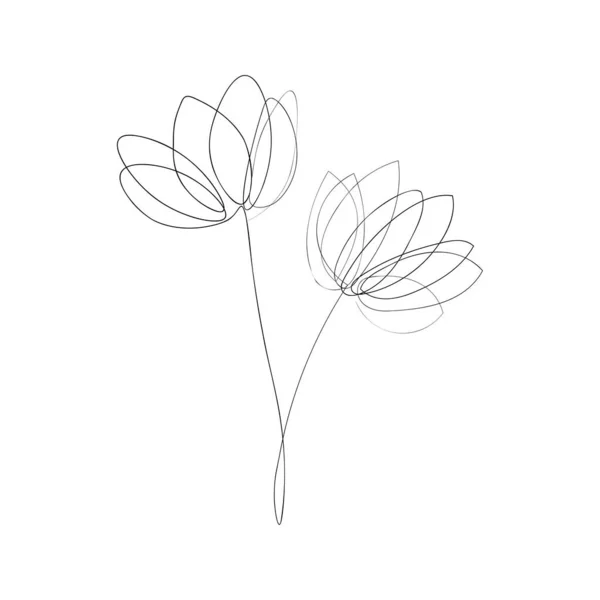 收集森林蕨类桉树艺术叶子天然叶子草本植物的线条风格 设计花卉的装饰美感典雅图解 — 图库照片