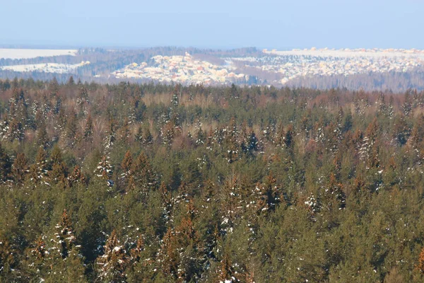 dense green summer winter aerial view