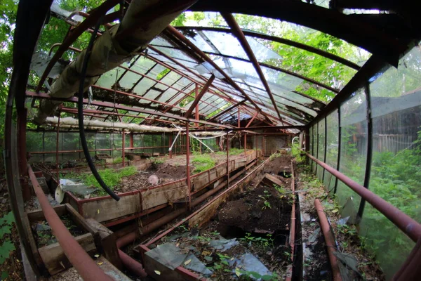 Viejo Invernadero Abandonado Con Plantas — Foto de Stock