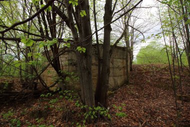 Ormanda terk edilmiş askeri kalıntılar.