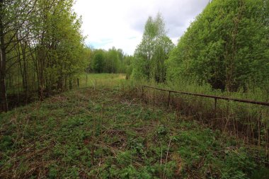 Ormanda terk edilmiş askeri kalıntılar.