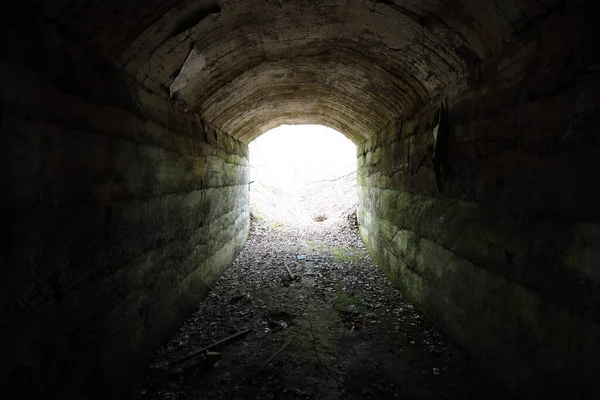 Betonové Tunely Lese — Stock fotografie