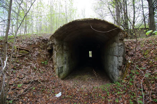 Tunnels Béton Dans Forêt — Photo