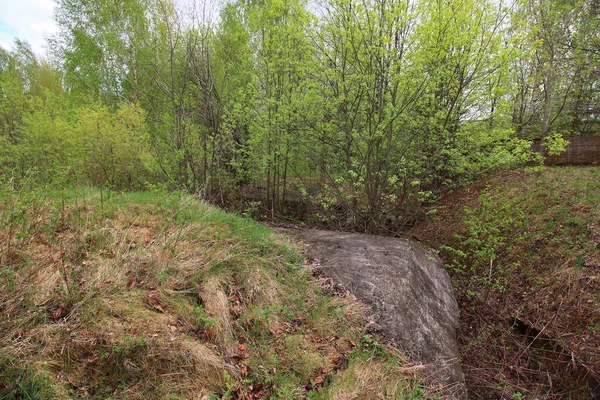 Abandoned Military Ruins Forest — Stock Photo, Image