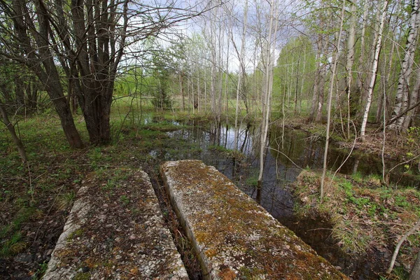 Abandoned Military Ruins Forest — Stock Photo, Image