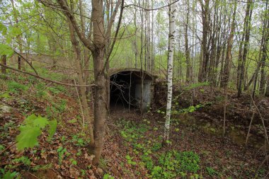 Ormanda beton tüneller