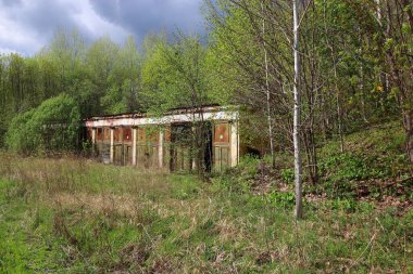 Ormanda terk edilmiş askeri kalıntılar.