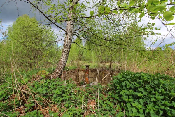 Abandoned Military Ruins Forest — Stock Photo, Image