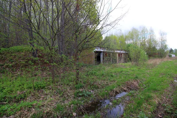 森林中被遗弃的军事废墟 — 图库照片