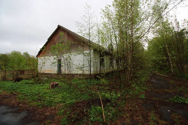 Das Territorium Eines Verlassenen Erholungszentrums — Stockfoto